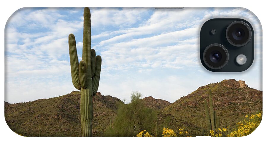 Saguaro Cactus iPhone Case featuring the photograph Saguaro And Wildflowers by Dustypixel
