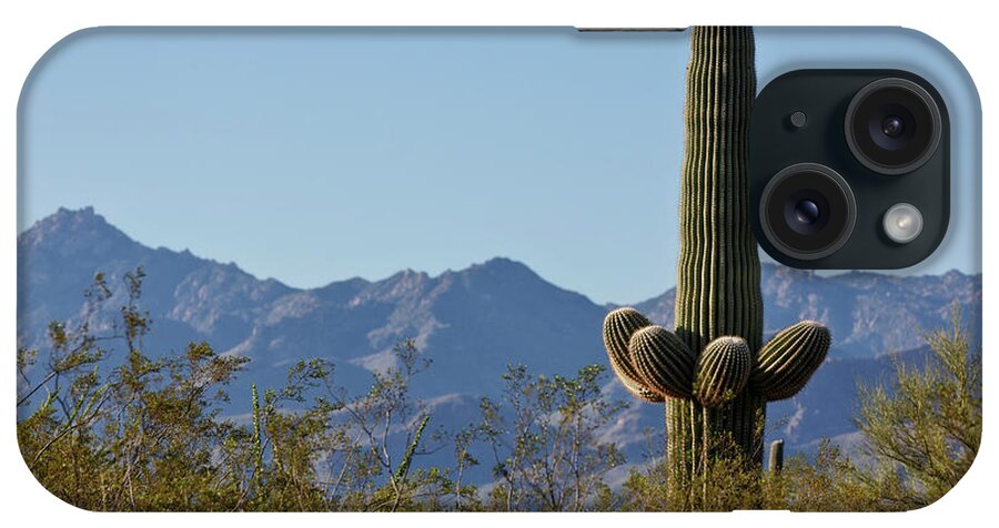 Saguaro Standing Tall iPhone Case featuring the photograph Saguaro Standing Tall by Wes and Dotty Weber
