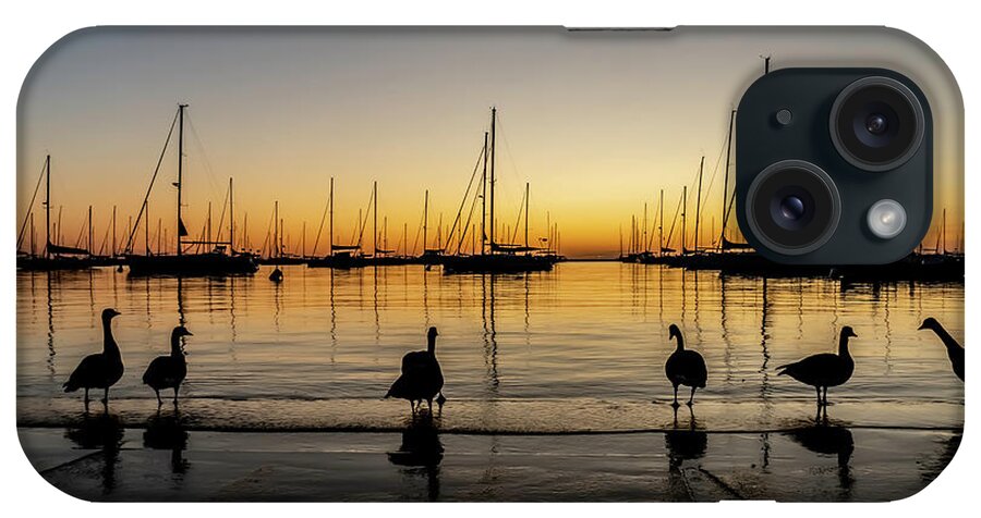 Geese iPhone Case featuring the photograph Sailboats and Geese in a Chicago Harbor one beautiful morning by Sven Brogren