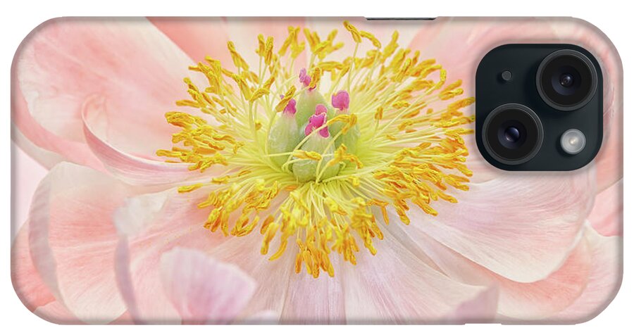 Salmon Pink Peony iPhone Case featuring the photograph Salmon Pink Peony by Cora Niele