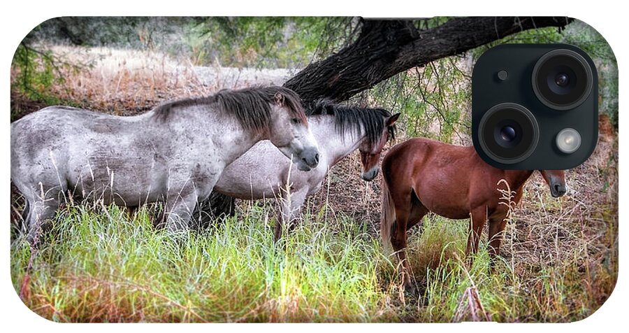 Horses iPhone Case featuring the photograph Salt River Wild Horses by Elaine Malott