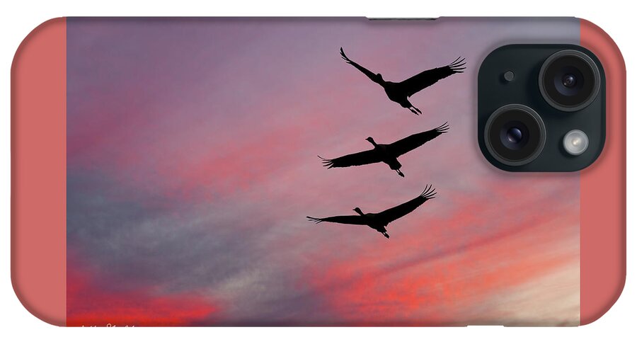 Animal iPhone Case featuring the photograph Sandhill Cranes at Sunset by Jeff Goulden