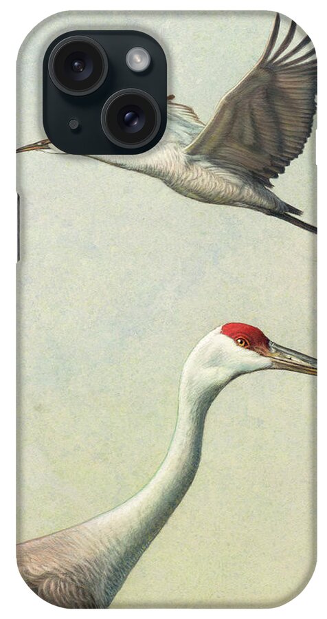 Crane iPhone Case featuring the painting Sandhill Cranes by James W Johnson
