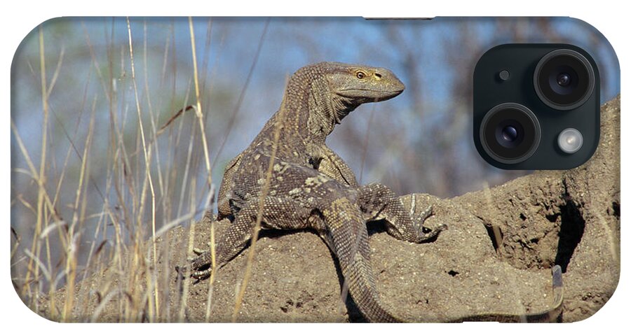 Savannah Monitor Lizard iPhone Case featuring the photograph Savannah Monitor Lizard by Peter Chadwick/science Photo Library