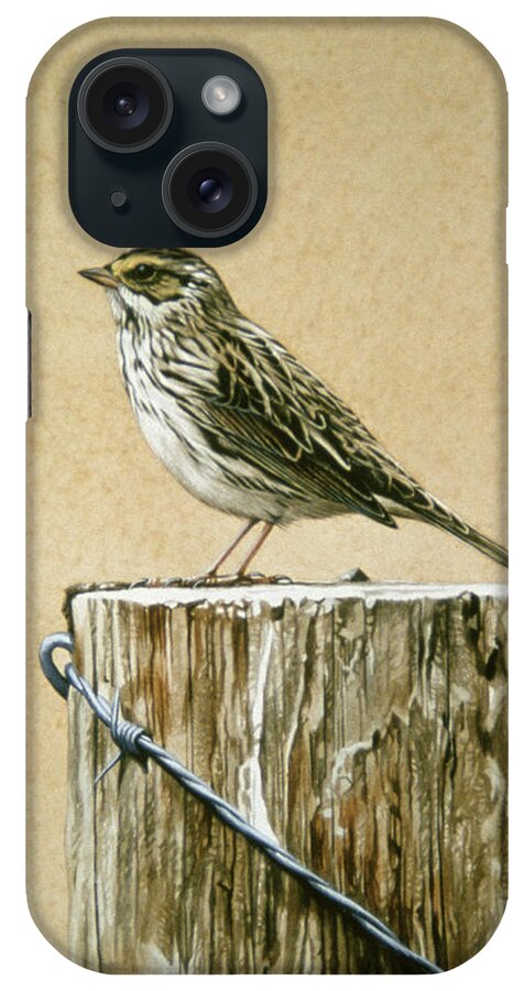 A Savannah Sparrow iPhone Case featuring the painting Savannah Sparrow by Ron Parker