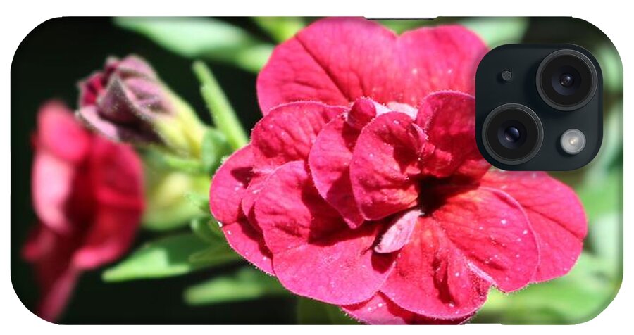 Geranium iPhone Case featuring the photograph Scarlet Geranium in Cape May by Christopher Lotito