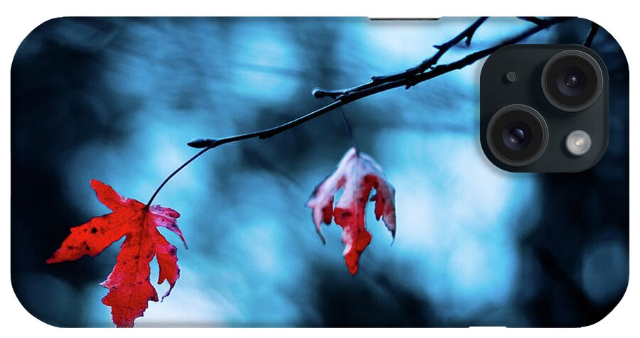 Aging Process iPhone Case featuring the photograph Scarlet Leaves by (c) Harold Lloyd