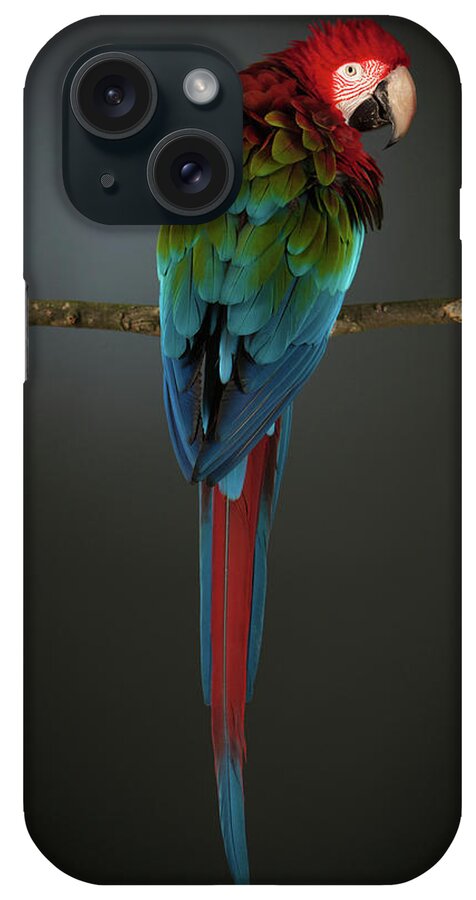 Animal Themes iPhone Case featuring the photograph Scarlet Macaw On A Perch by Tim Platt
