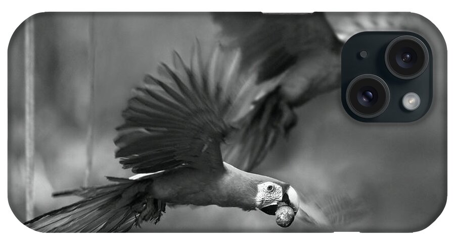 Disk1215 iPhone Case featuring the photograph Scarlet Macaws Take Flight by Tim Fitzharris