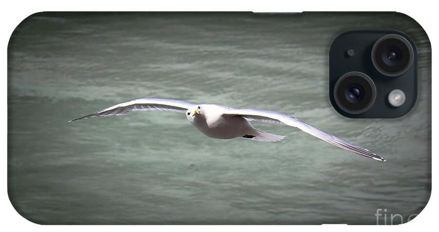 Seabird iPhone Case featuring the photograph Seabird Over Alaska by Veronica Batterson