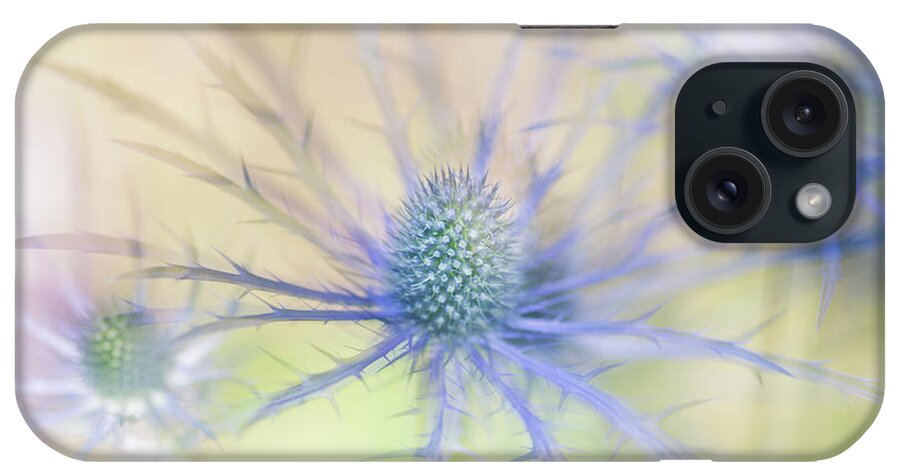 Sea Holly iPhone Case featuring the photograph Sea Holly Dance by Anita Nicholson