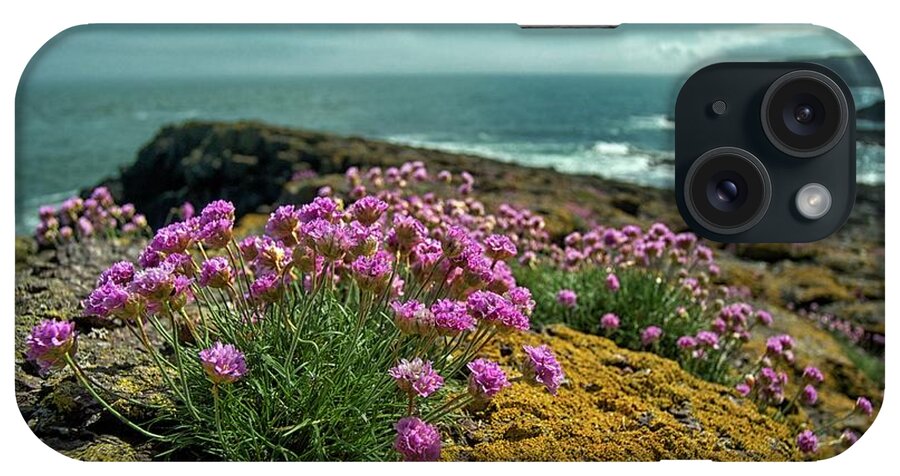Tranquility iPhone Case featuring the photograph Sea Pinks Crawton June 2013 by Jimfrost M43.im