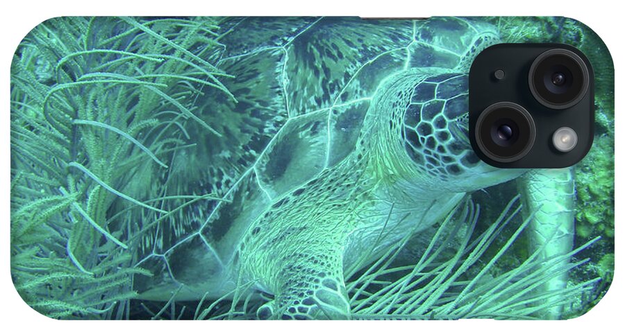 Marine Life iPhone Case featuring the photograph Sea Turtle Underwater Wonders by Leslie Struxness