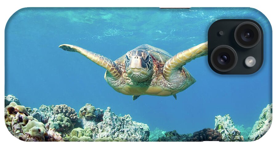 Underwater iPhone Case featuring the photograph Sea Turtle Maui by M.m. Sweet