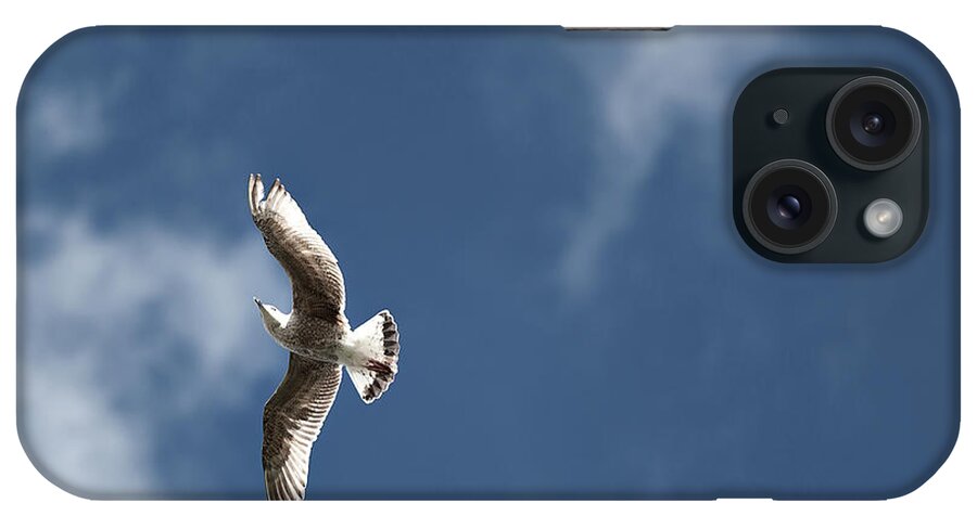 Animal Themes iPhone Case featuring the photograph Seagull Flight by Ricowde