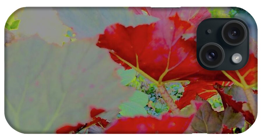 Begonia Leaves iPhone Case featuring the mixed media Secret Garden Of Begonia by Alida M Haslett