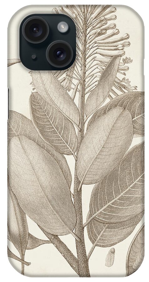 Botanical & Floral iPhone Case featuring the painting Sepia Exotic Plants I by Vision Studio
