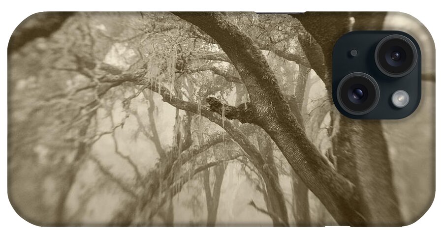 Outdoors iPhone Case featuring the photograph Sepia Toneds Image Of Trees In The Wood by Diane Miller