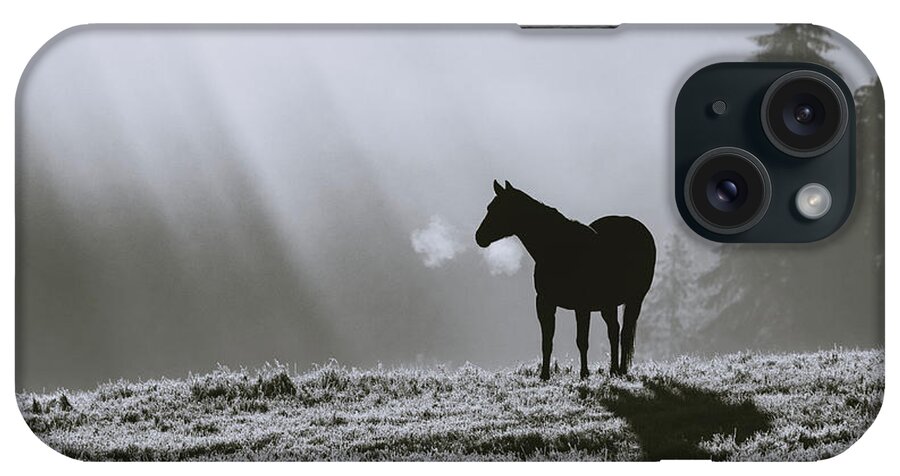 Horse iPhone Case featuring the photograph Serenity 2 in Monochrome by Catherine Avilez