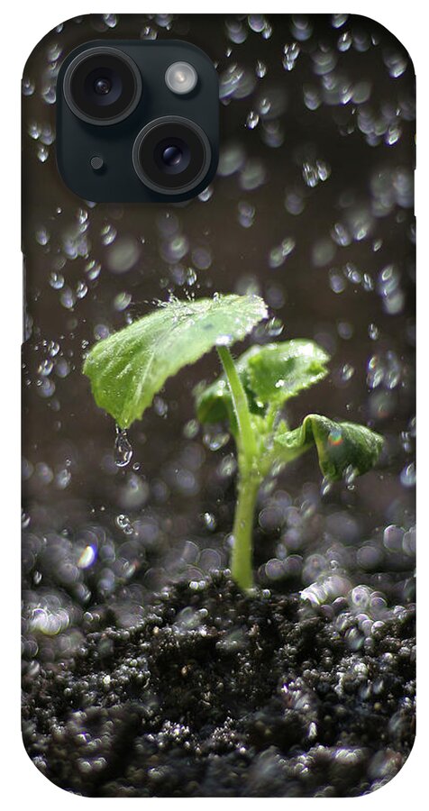 Outdoors iPhone Case featuring the photograph Shallow Depth Of Field Watering Sprout by Dess