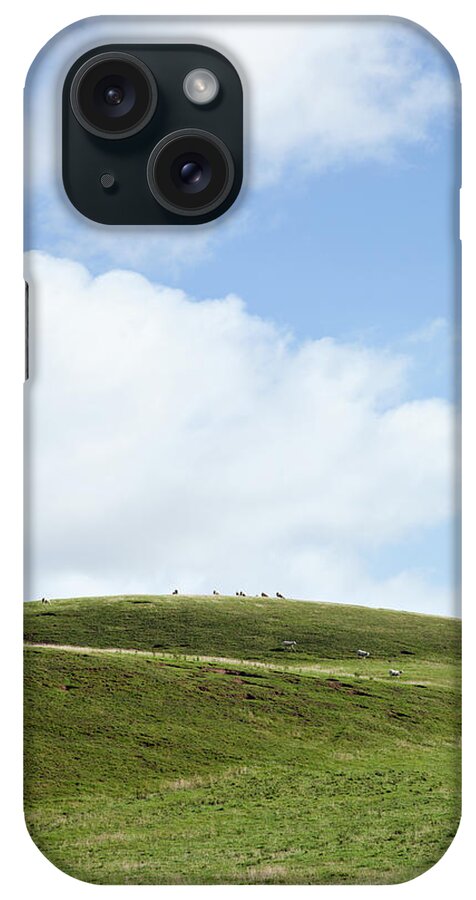 Free Range iPhone Case featuring the photograph Sheep Grazing On Hill Pastures by Nicolasmccomber