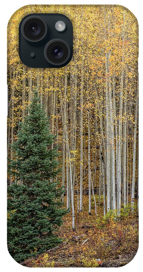 Colorado San Juans iPhone Case featuring the photograph Shimmer by Angela Moyer