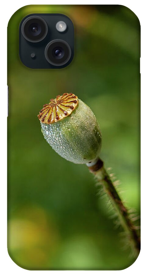 Shirley Poppy iPhone Case featuring the photograph Shirley Poppy 2018-20 by Thomas Young