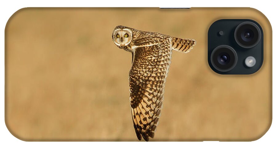 Grass iPhone Case featuring the photograph Short-eared Owl Asio Flammeus In Flight by Mark Smith