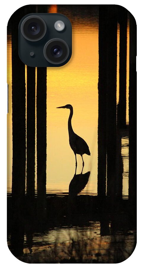 Sunset iPhone Case featuring the photograph Silhouette Of A Bird by Cynthia Guinn