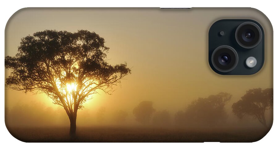Sequoia Tree iPhone Case featuring the photograph Silhouette Of Australia Landscape Tree by Keiichihiki