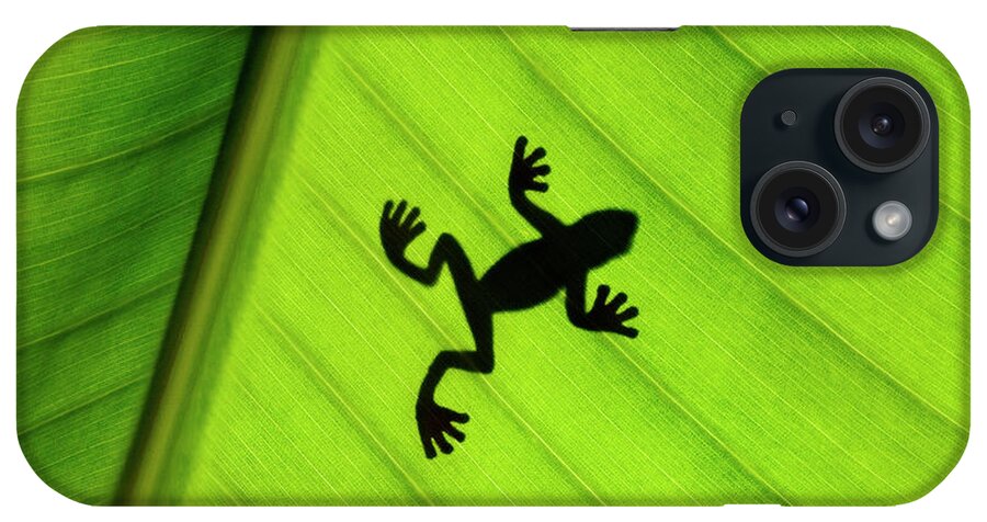 One Animal iPhone Case featuring the photograph Silhouette Of Frog Through Banana Leaf by Martin Harvey