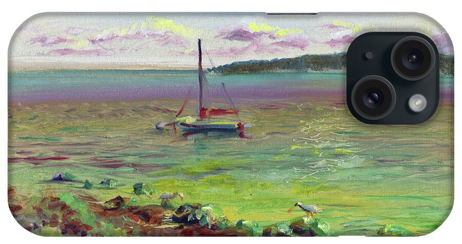 Silver Shores iPhone Case featuring the painting Silver Shores Seascape by David Bader