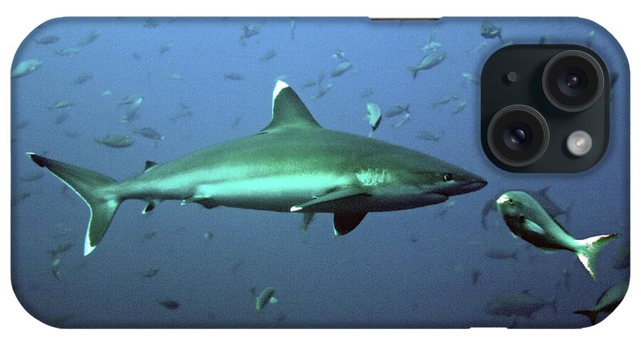 Underwater iPhone Case featuring the photograph Silvertip Shark With Fish by Photo By Shera Mercer
