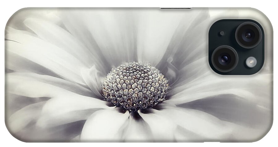 Nature iPhone Case featuring the photograph Simplicity Series 4 Jubilee by Darlene Kwiatkowski