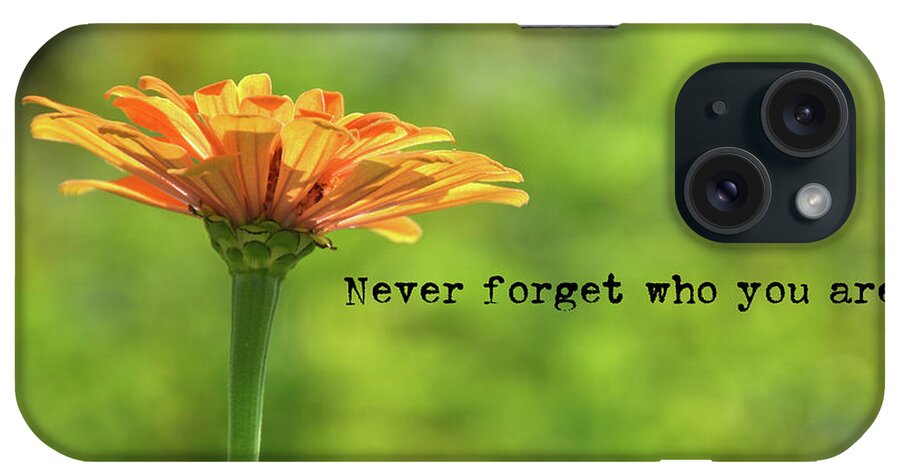 Are iPhone Case featuring the photograph SIMPLY ORANGE quote by JAMART Photography