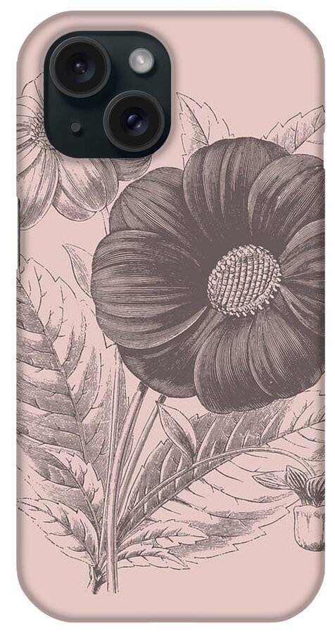 Flower iPhone Case featuring the mixed media Single Dahlias Blush Pink Flower by Naxart Studio