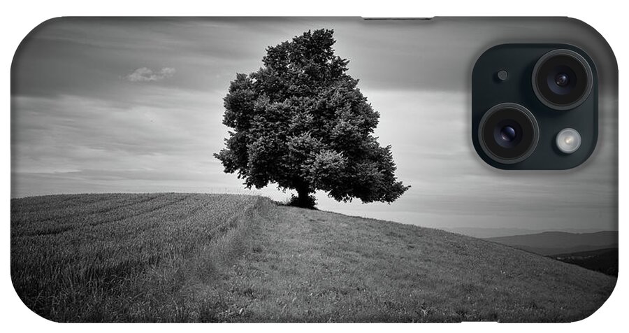 Zurich iPhone Case featuring the photograph Single Tree In Fields by Tobias Gaulke
