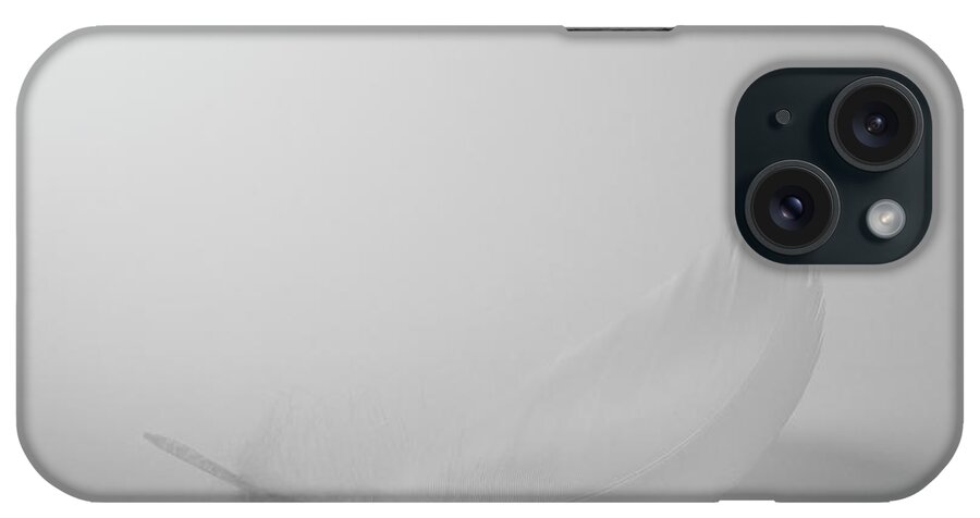 Fragility iPhone Case featuring the photograph Single White Feather On White Background by Dougal Waters