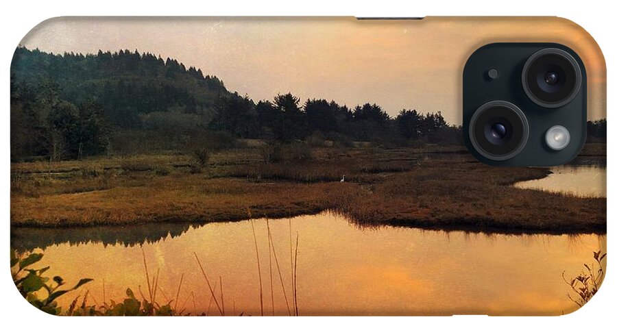 Sunset iPhone Case featuring the digital art Sitka Sedge Sand Lake Eve by Chriss Pagani