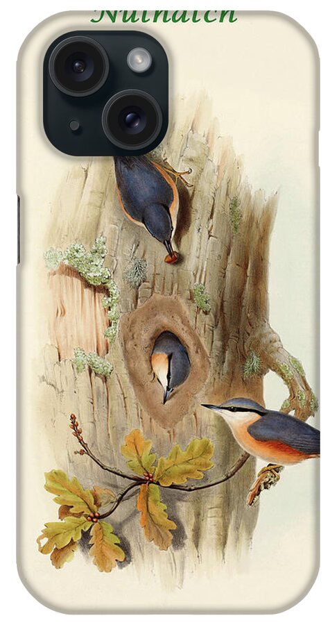Aves iPhone Case featuring the painting Sitta Caesia - Nuthatch by John Gould