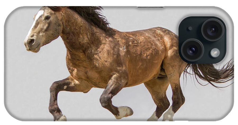 Horse iPhone Case featuring the photograph Skywalker by Kent Keller