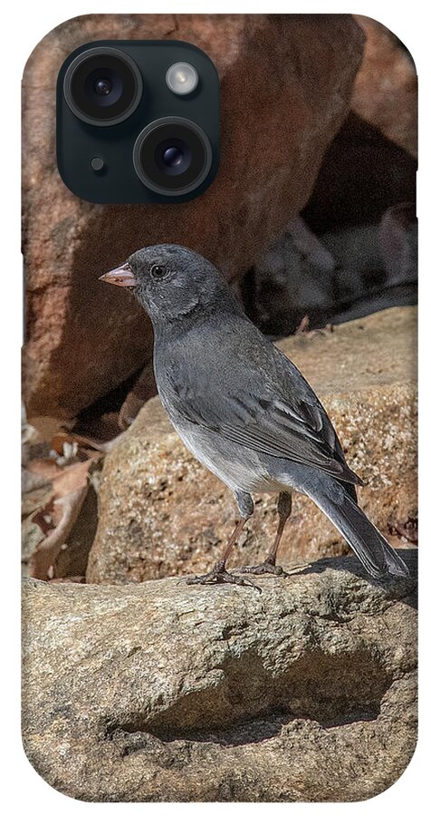 Nature iPhone Case featuring the photograph Slate-colored Junco DSB0339 by Gerry Gantt