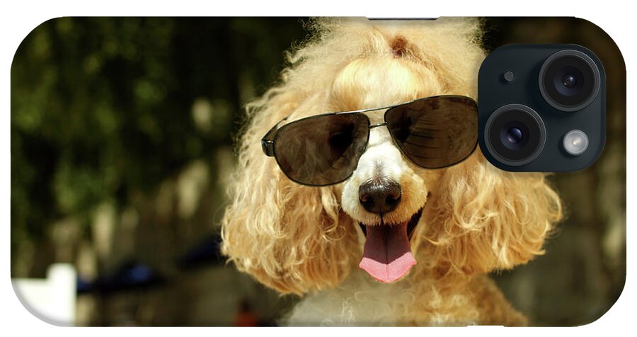 Pets iPhone Case featuring the photograph Smiling Poodle Wearing Sunglasses On by Stephanie Graf-vocat - Sgv Photography