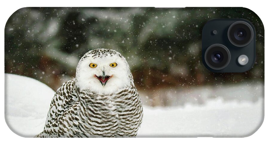 Snowy Owl iPhone Case featuring the photograph Smiling Snowy by Carrie Ann Grippo-Pike
