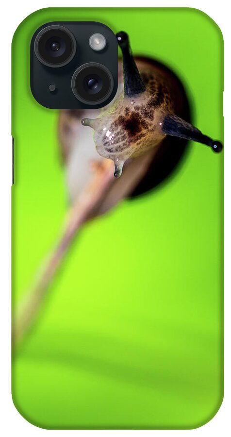 Macro Photography iPhone Case featuring the photograph Nature Photography Macro #2 by Amelia Pearn