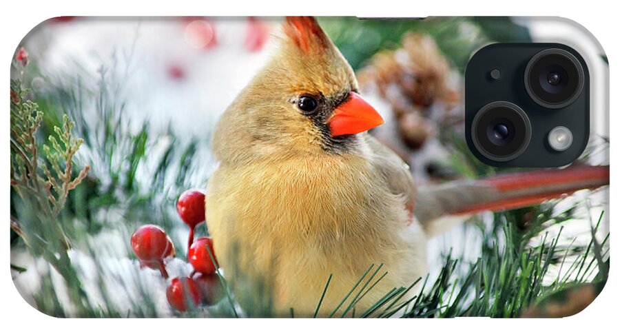 Cardinal iPhone Case featuring the photograph Snow Cardinal by Christina Rollo