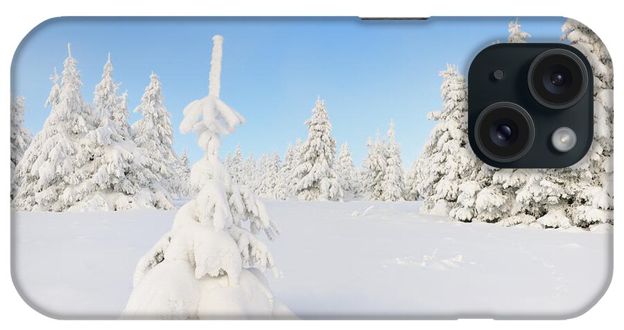 Snow iPhone Case featuring the photograph Snow Covered Fir Trees by Cornelia Doerr