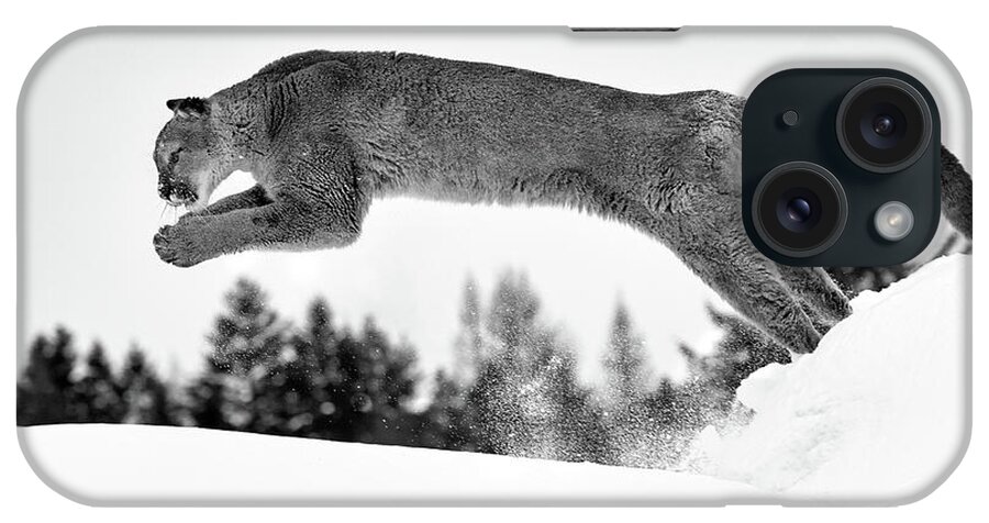 Cougar iPhone Case featuring the photograph Snow Diving by Art Cole