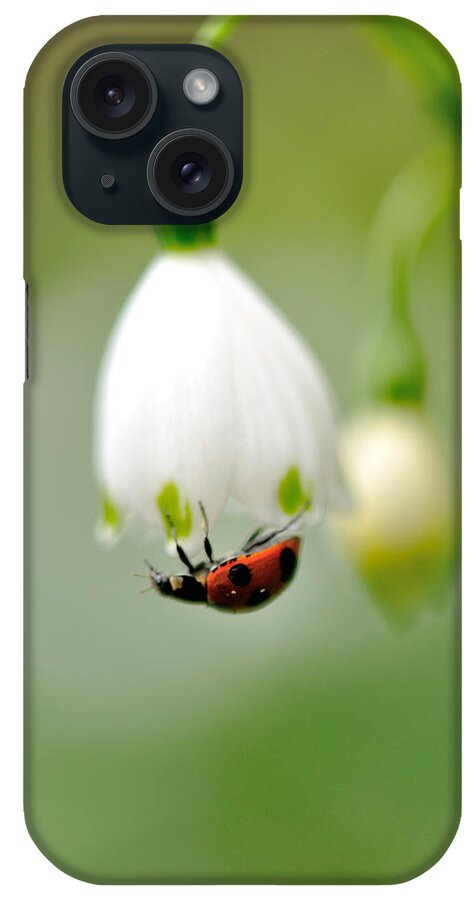 Hanging iPhone Case featuring the photograph Snowflake With Ladybug by Myu-myu