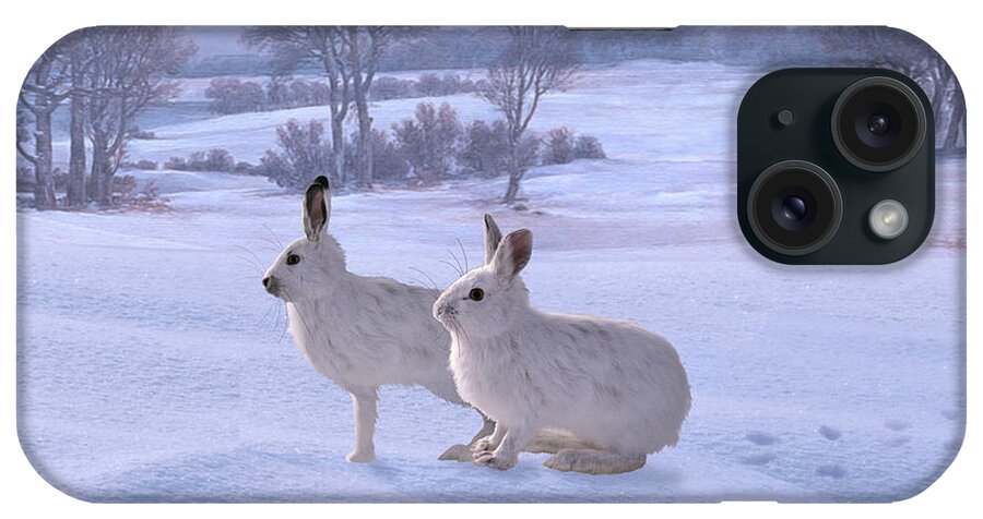 Hare iPhone Case featuring the digital art Snowshoe Hares by M Spadecaller